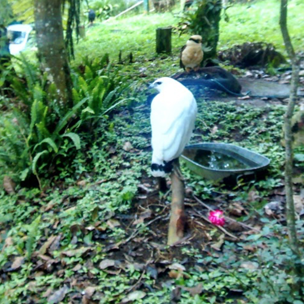 Museo de la Fauna de Veracruz